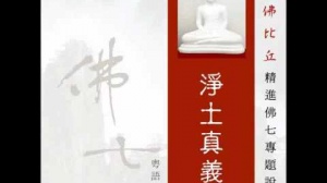 淨土真義 第三集 (華語)